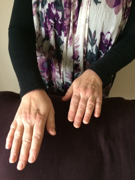 Reiki training at Inner Sanctum Retreat